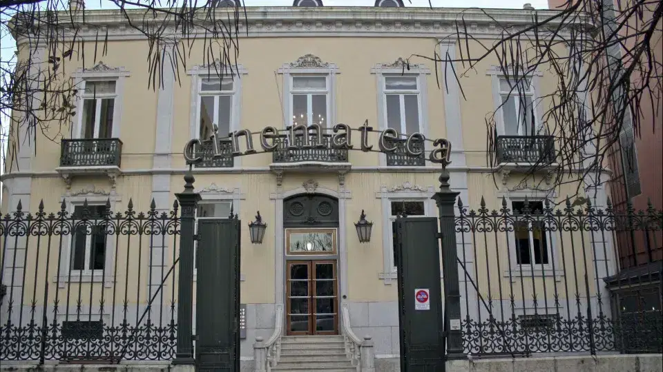 Cinematheque programs a cycle dedicated to "free cinema" of visual artists