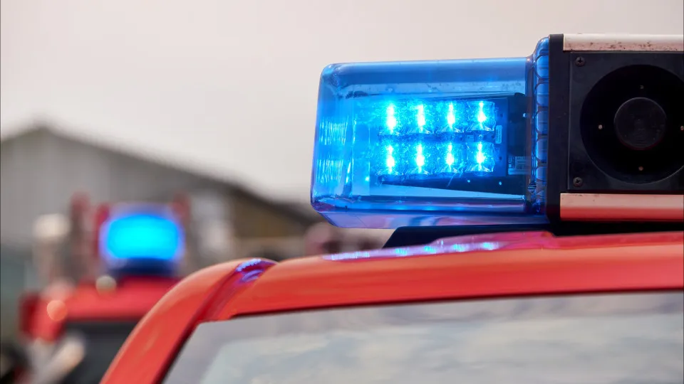 Couple (while tidying up) finds grenade and leaves it with Estoril firefighters