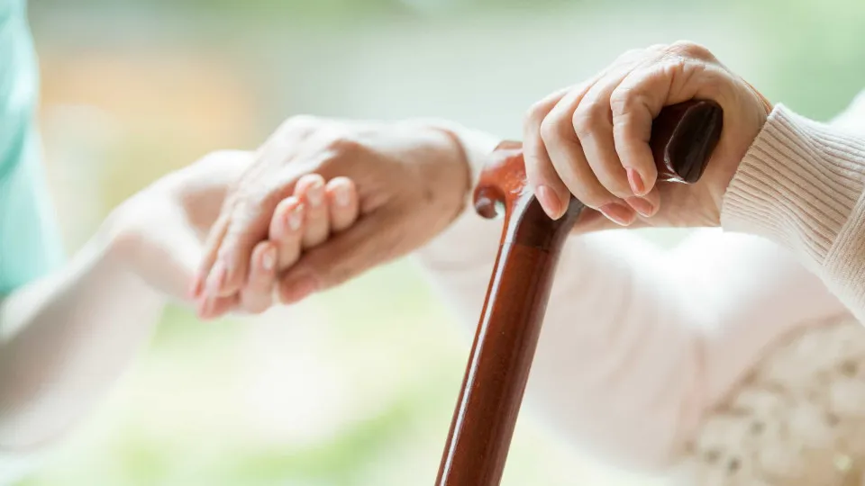 Crimes against the elderly increased by 26.4% in four years.