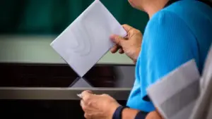 Deputies agree with the electronic voting test requested by emigrants