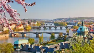 DGArtes opens applications to represent Portugal at the Prague Quadrennial