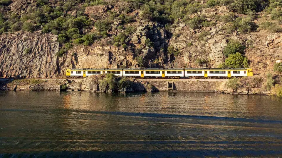 Douro Line will close for 5 months for works. These are the alternatives.