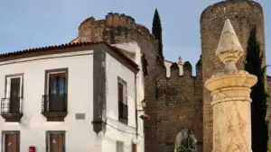 Elected president highlights "historic result" of the PS in Serpa