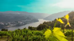 Elected president of Baião promises "governance with sensibility and sensitivity"