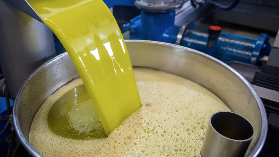 Government proposes 6% VAT for olive oil production