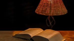 Literary and illustration award in Alentejo reflects on the value of peace