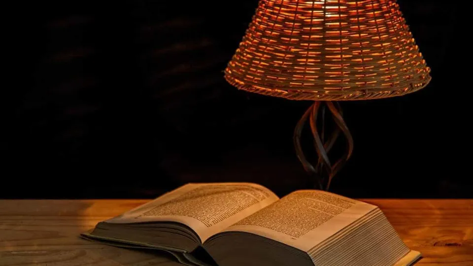 Literary and illustration award in Alentejo reflects on the value of peace