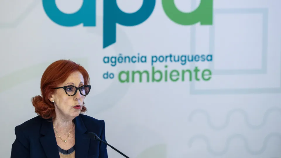Minister of the Environment denies intention to "dismember" the competence of the ICNF