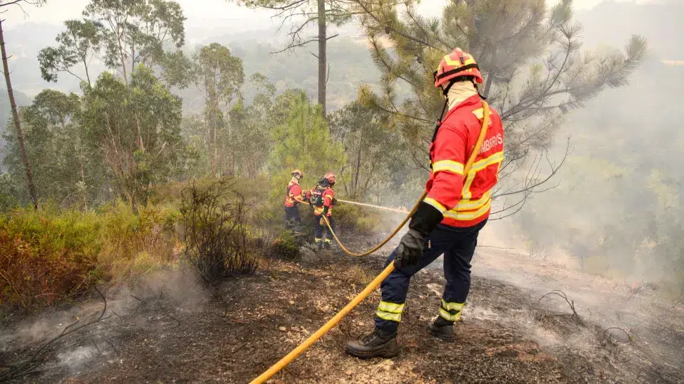 More than 40 operatives battle fire in a mountainous area in Pedrulhos.