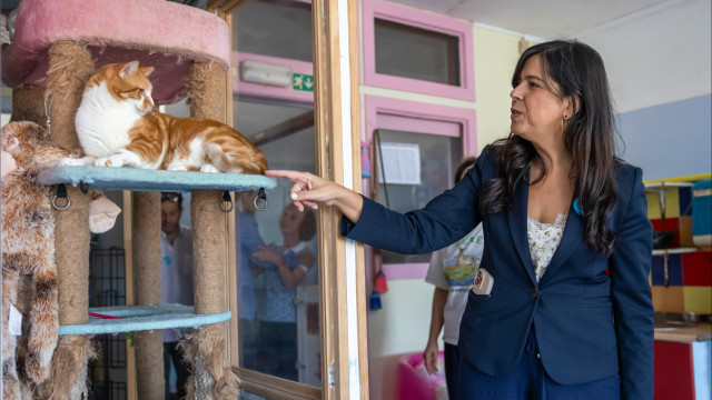 Porta-voz do PAN considera