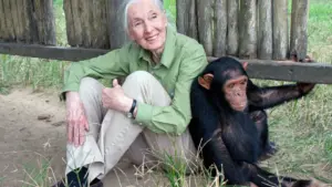 Parliament approves vote of condolence for the death of primatologist Jane Goodall