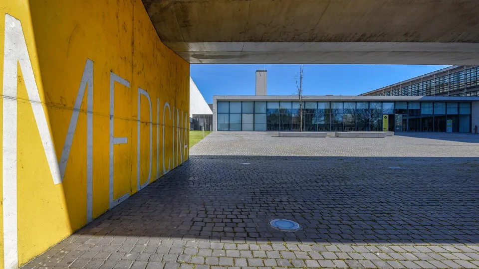 Porto Medicine Professor suspended for alleged harassment of students
