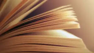 Portuguese book for blind children in the White Ravens selection