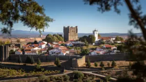 PS breaks with 28 years of PSD rule in Bragança