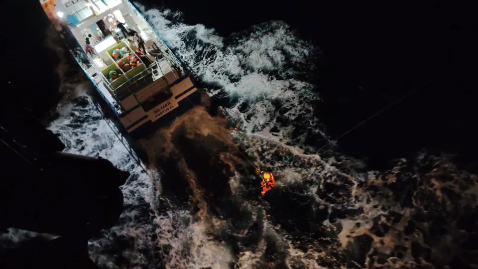 Sailboat sinks after interaction with orcas in Peniche. Castaways rescued