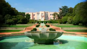 Serralves Foundation displays João Paulo Feliciano's work in Leiria