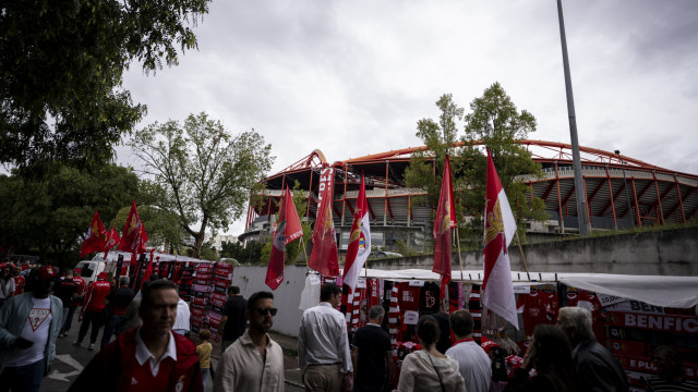 Shares of Benfica's SAD open in positive territory after club elections
