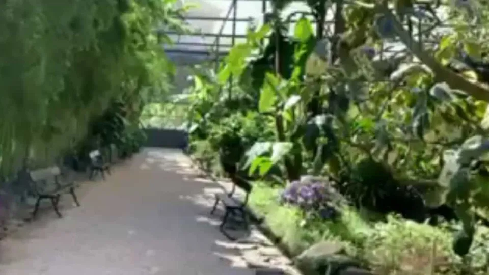 Time has changed! Parks and gardens with 'new hours' in Lisbon: Stay informed