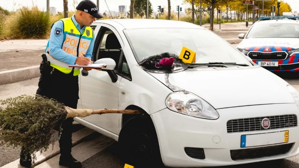 "Whether by broom or by car", PSP issues a warning to drivers