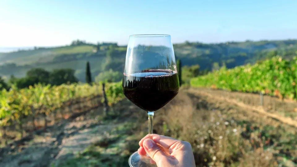 "20 years ago, no one would have imagined." Algarve wine overcomes stigma