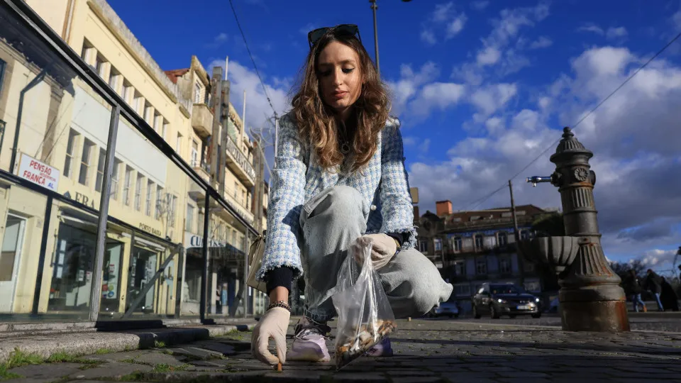 About 500 students collected cigarette butts from the streets of Porto