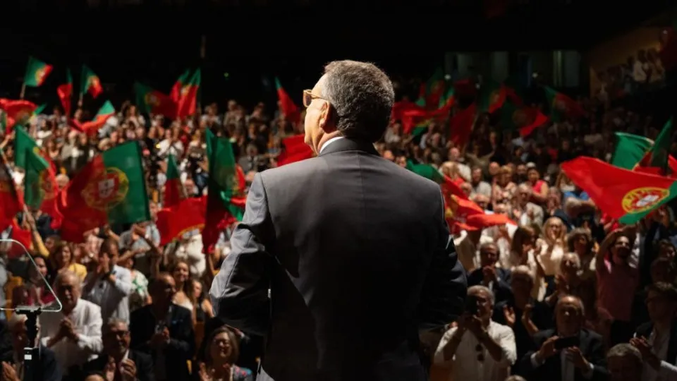 "Aggregator". Scientist Maria do Carmo Fonseca is the head of Seguro.