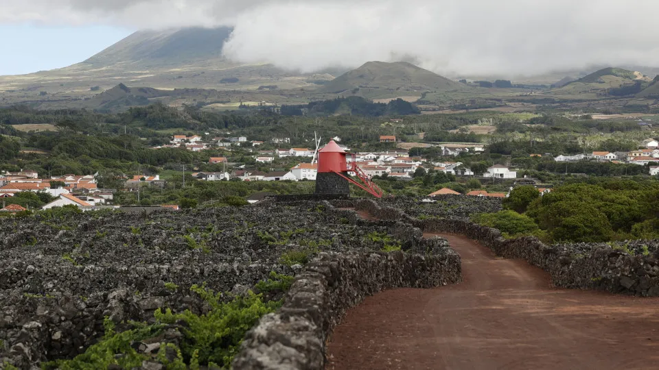 Agriculture support plan provides 24 million for the Azores