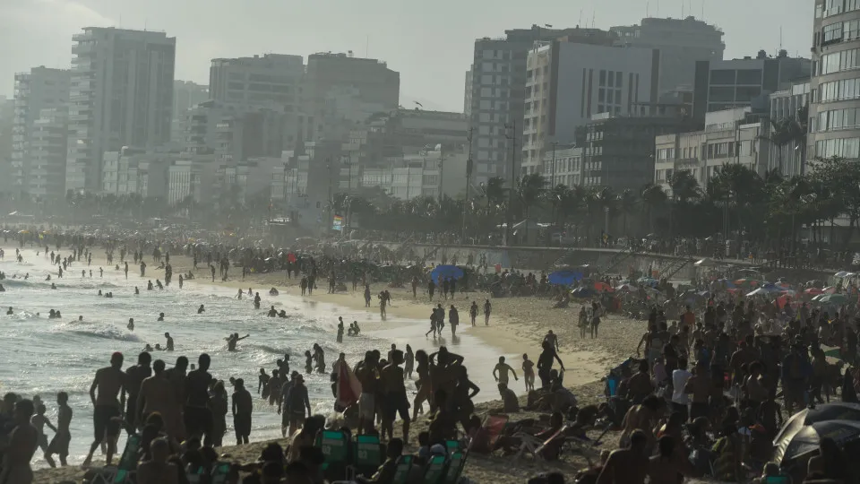 Arte Institute takes 'Contemporary Portugal' to six Brazilian cities