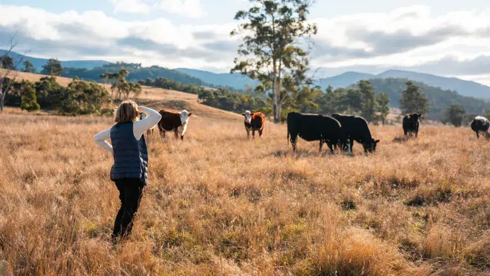 Association calls for adequate social protection for women in agriculture