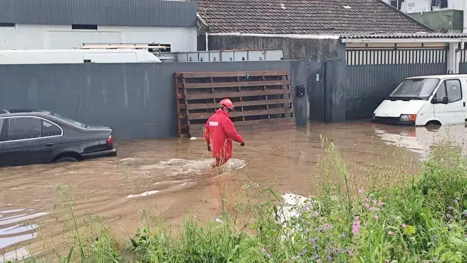 Association holds the City Council and Parish responsible for the death of two elderly people in Seixal