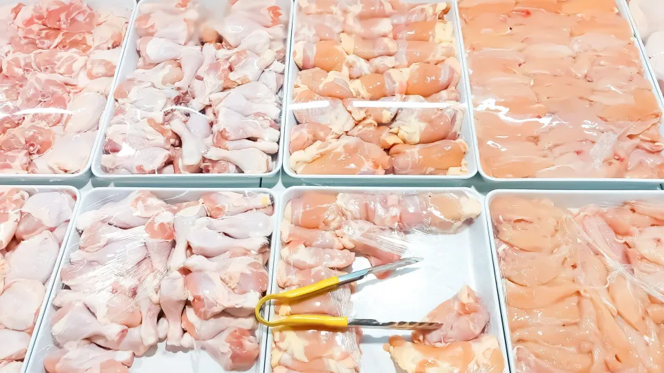 Avian flu: Hong Kong bans import of meat from Porto district