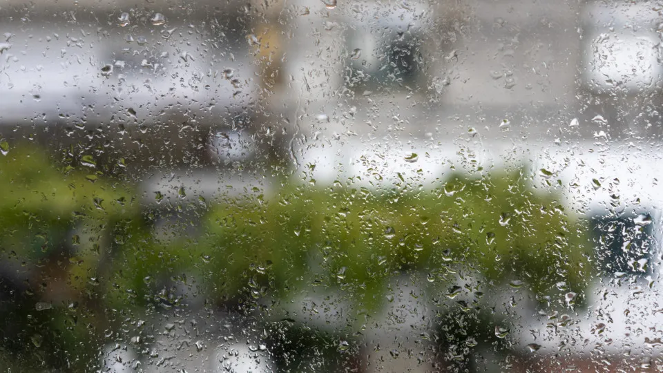 Bad weather? Early this morning in the Porto district was "calmer"