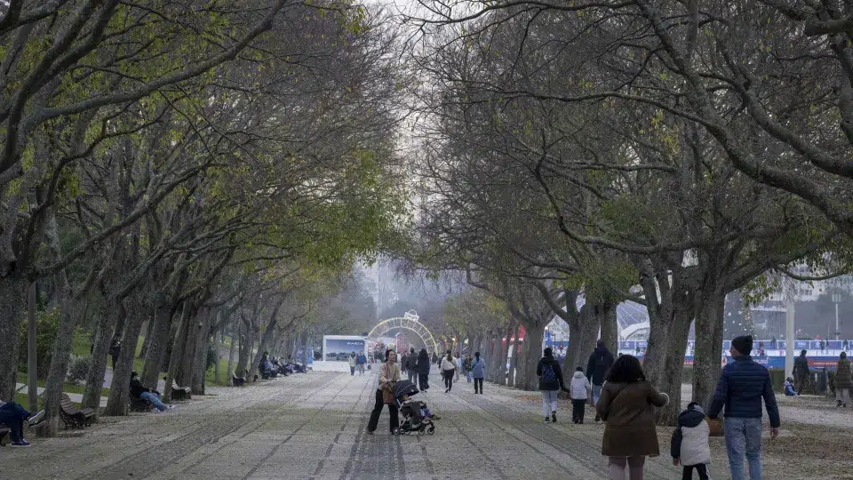 Bad weather: Seven thousand E-Redes customers still without electricity at 3:00 PM