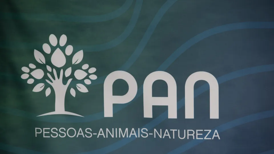 Carolina Pia announces candidacy for the leadership of PAN against Sousa Real