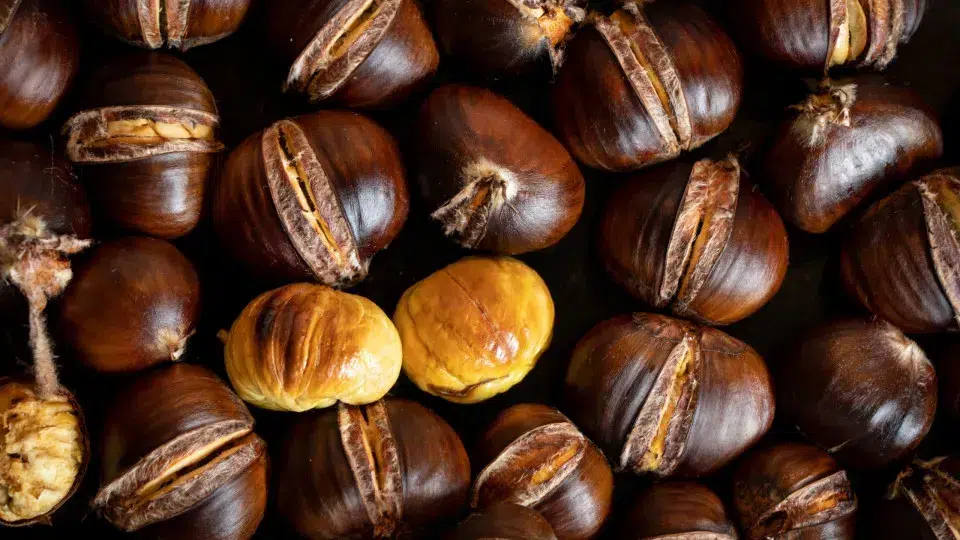 Chestnuts for sale in Lisbon maintain quality, but are more expensive and smaller.