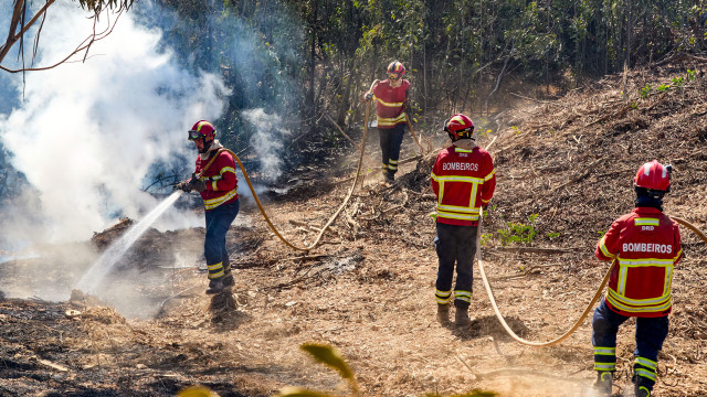 Civil Protection. Montenegro announces "operational command" for Firefighters
