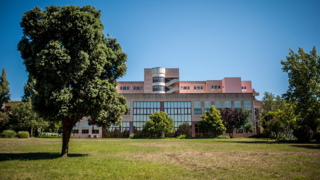 Grávida morre: PS e Chega pedem 