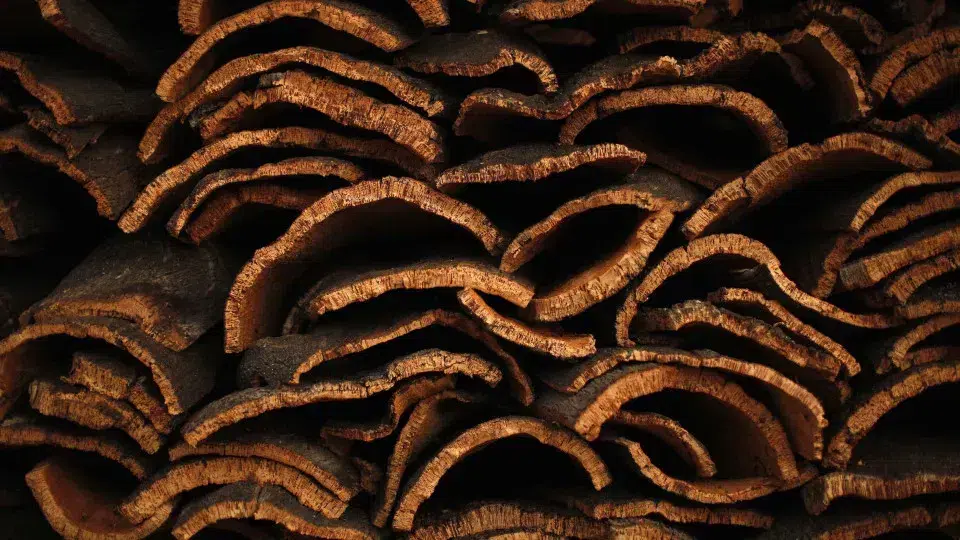 Cork production in Portugal and Spain is expected to fall by 15% this year.
