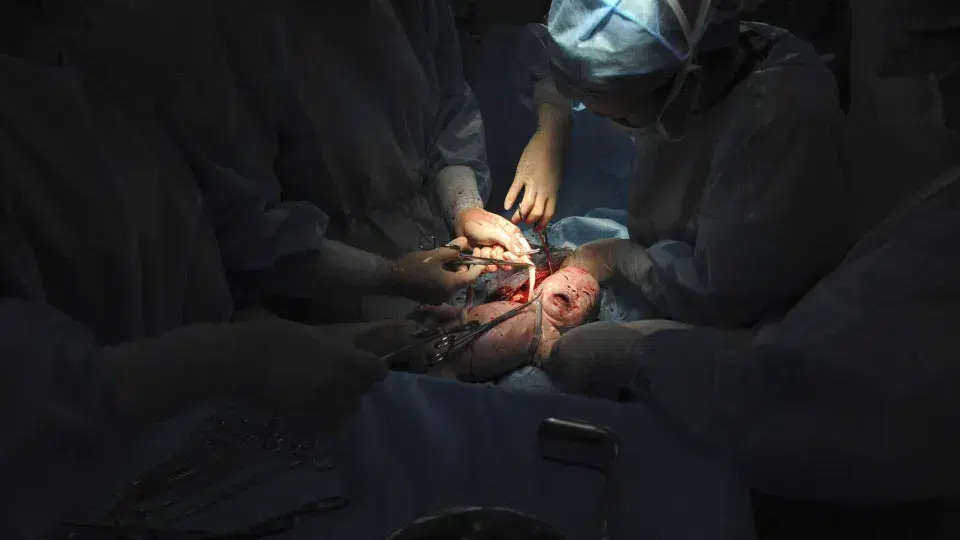 Cova da Beira Reproductive Medicine contributes to the birth of 220 babies