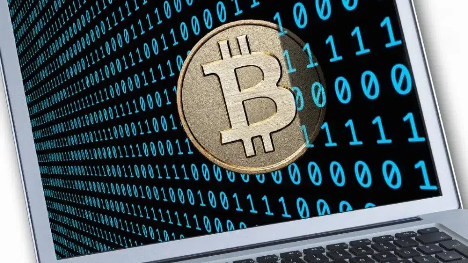 Cryptocurrency fraud. PJ detains man recruited by international network
