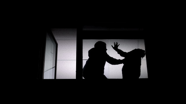 Domestic violence with a record number of cases. Here are the PSP's recommendations.