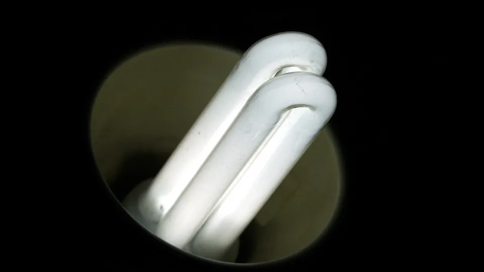 Electric grid in Bay in Brazil to be modernized with a loan from the EIB