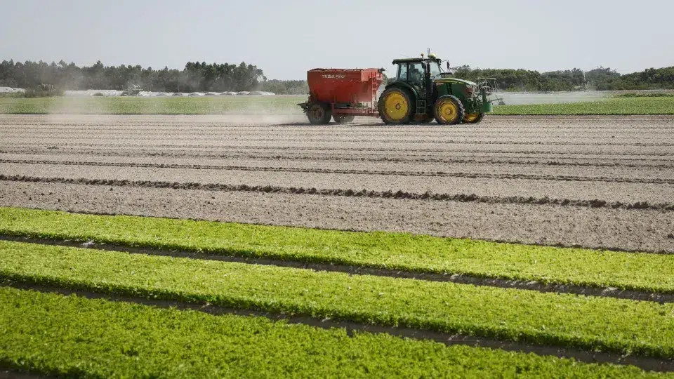 EU reaches provisional agreement to simplify agricultural policy