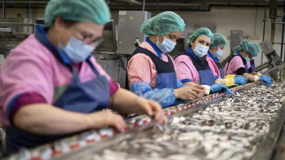 Exports of the canning industry rise 12% to 199 million