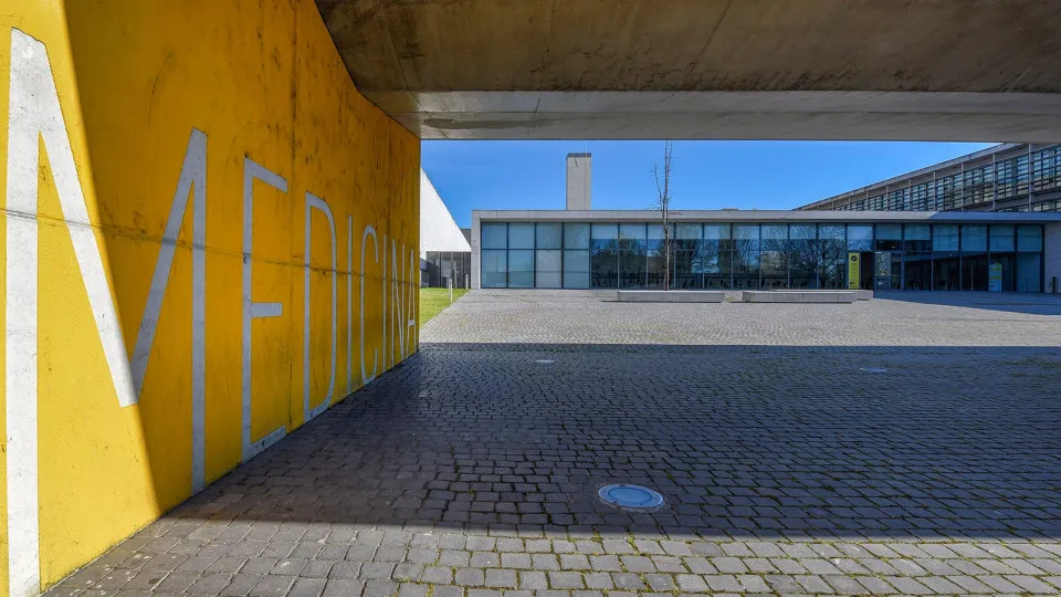 Faculty of Medicine of Porto wants to integrate the 30 excluded candidates