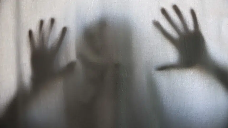 Female victims supported by APAV increase by 11% in the last three years