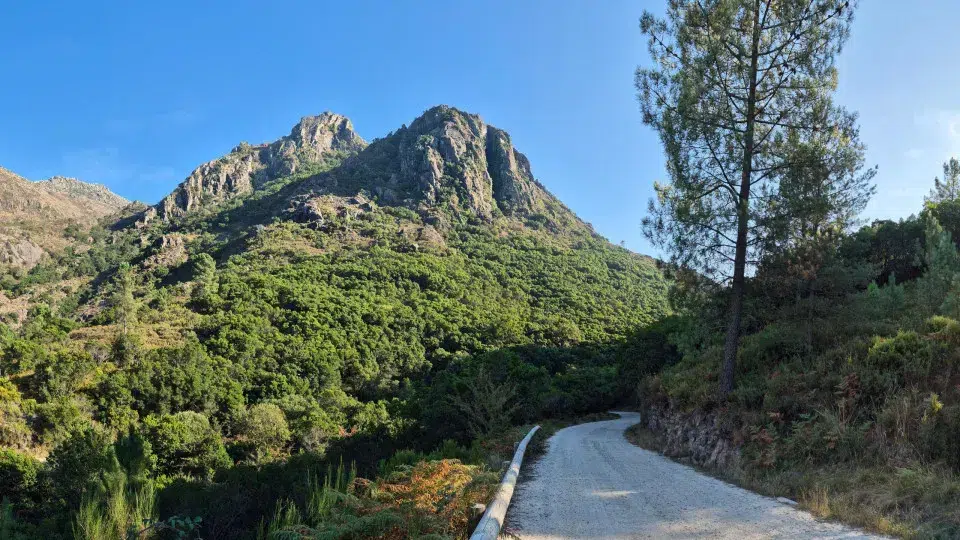 Firefighters and GNR in rescue operation of four foreigners in Gerês