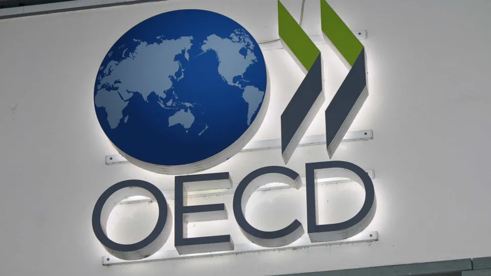 Fires: OECD criticizes some changes introduced by the Government