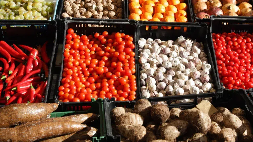 Food price index drops 1.6% in October