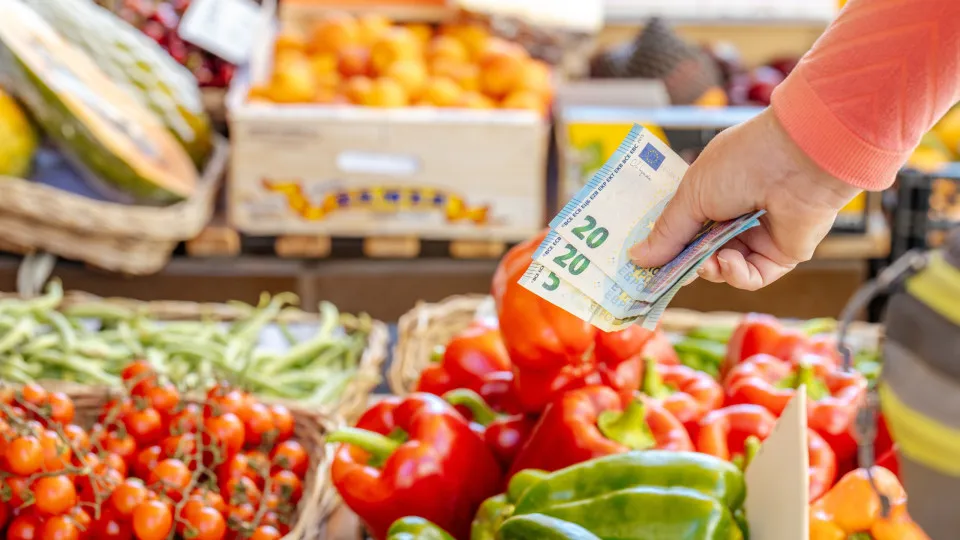 Food prices keep rising: Find out how much the basket costs now